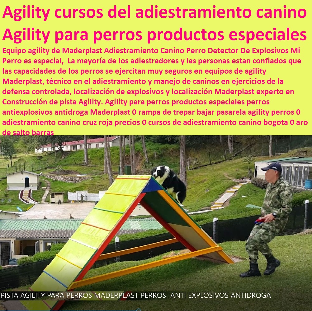 Agility Canino Circuito Entrenamiento de Perros Pista Adiestramientos perros Guías 0 rampa trepar Catálogo de Obstáculos de Agility Diseño Fabricación y Venta 0 Canes Guías Antiexplosivos Antidroga 0 Equipo de Barra de entrenamiento Canes Agility Canino Circuito Entrenamiento de Perros Pista Adiestramientos perros Guías 0 rampa trepar Catálogo de Obstáculos de Agility Diseño Fabricación y Venta 0 Canes Guías Antiexplosivos Antidroga 0 Equipo de Barra de entrenamiento Canes